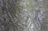 Woodthorpe fibreglass roof work